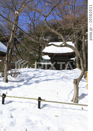 雪のち快晴の円覚寺 10562011