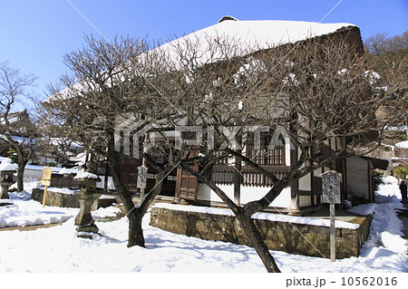 雪のち快晴の円覚寺 10562016