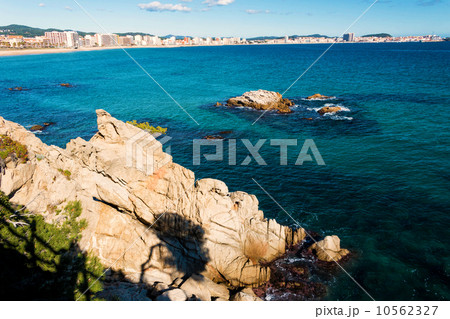 Detail of the Spanish coast 10562327