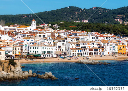 Beautiful coastal 10562335