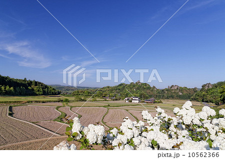 田染荘の風景 田染荘の風景 10562366