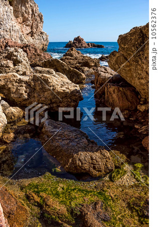 Detail of the Spanish coast (Costa Brava) Detail of the Spanish coast (Costa Brava) 10562376