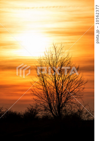 Sunset Sunset 10562377