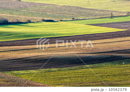 Agriculture Agriculture 10562379