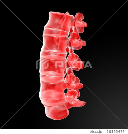 lumbar 10563475