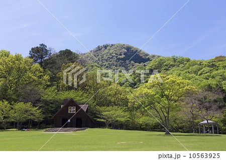 新緑の二上山 新緑の二上山 10563925