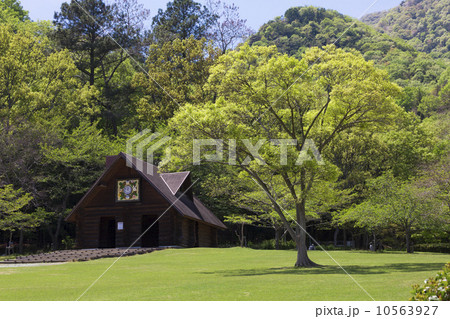 新緑の二上山 10563927