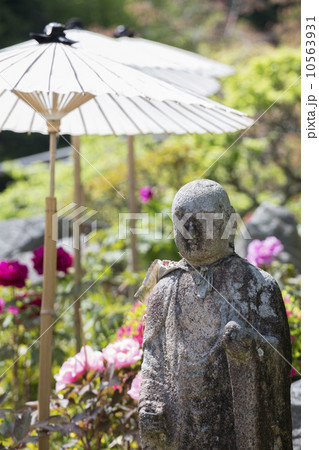 當麻寺奥院のお地蔵様と牡丹 10563931