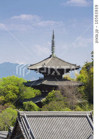 當麻寺の東塔 10563939
