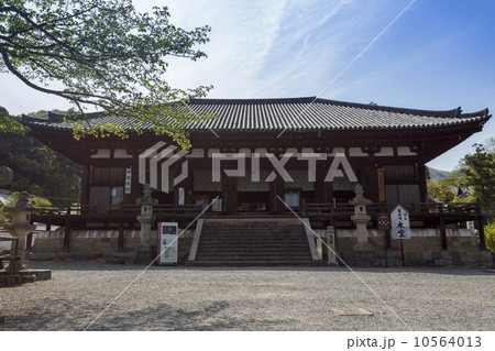 當麻寺の本堂 當麻寺の本堂 10564013