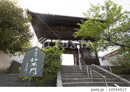 當麻寺の仁王門 10564017