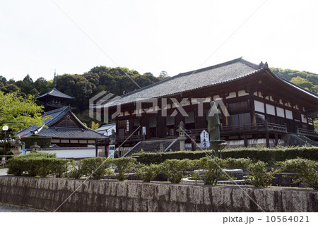當麻寺の本堂 當麻寺の本堂 10564021