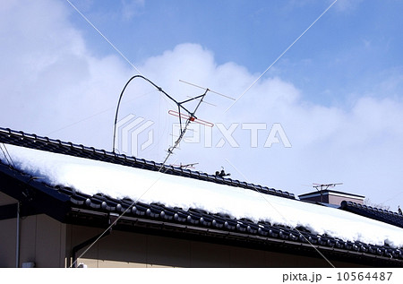 雪害のアンテナ　雪害のテレビアンテナ 10564487