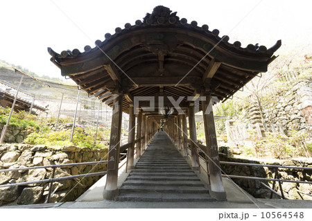 長谷寺の登廊 10564548