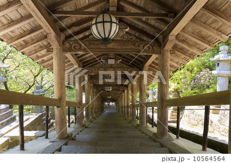 長谷寺の登廊 10564564