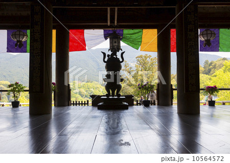 長谷寺の本堂 10564572