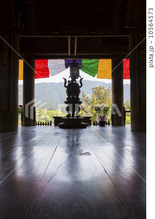 長谷寺の本堂 10564573