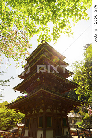 新緑の長谷寺五重塔 10564576