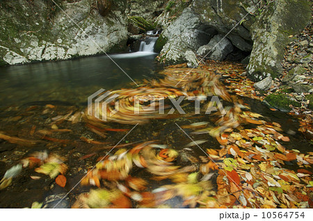 花園渓谷 もみじ色の流れ 清流の淵に渦巻く紅葉の華麗な色 花園渓谷 もみじ色の流れ 清流の淵に渦巻く紅葉の華麗な色 10564754
