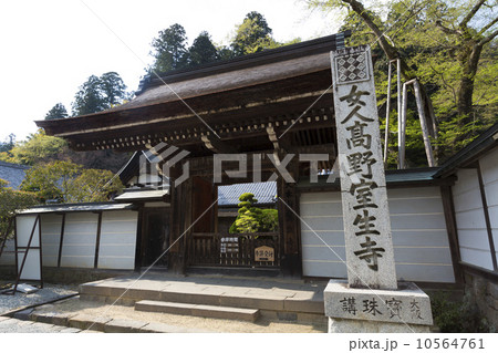 室生寺本坊の門 10564761