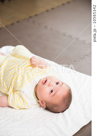 見つめる赤ちゃん 見つめる赤ちゃん 10565342