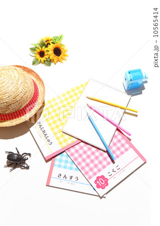 夏休みの宿題 夏休みの宿題 10565414