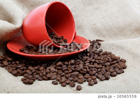Coffee beans with a cup and saucer on sacking. Coffee beans with a cup and saucer on sacking. 10565559