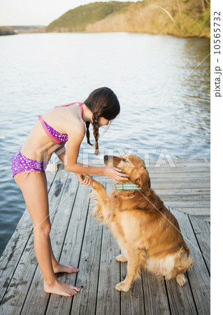 A girl in a bikini with a golden retriever dog lifting its paw up. 10565732