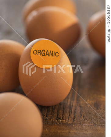 Studio Shot of organic eggs 10566387