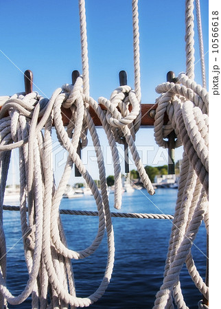 Coiled ropes on yacht deck 10566618