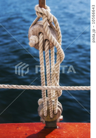 Coiled ropes on yacht deck 10566643