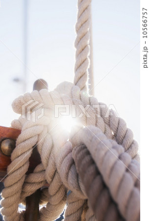 Close-up view of ropes on yacht deck 10566757