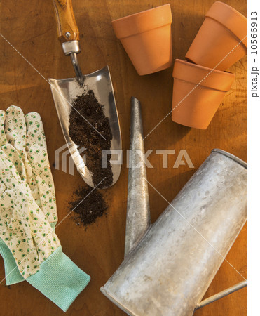 Collection of gardening utensils 10566913