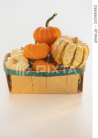 Basket full of pumpkins Basket full of pumpkins 10566982