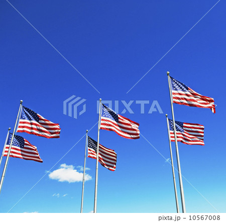 American flags American flags 10567008