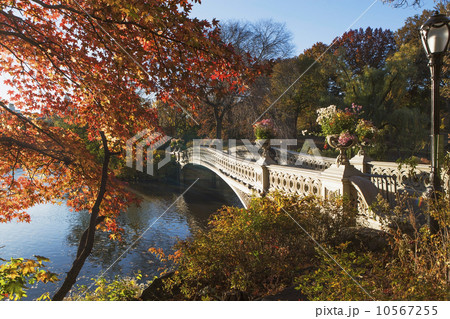 Footbridge over lake in Central Park 10567255
