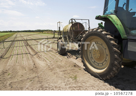 Tractor spraying field, Florida, United States Tractor spraying field, Florida, United States 10567278