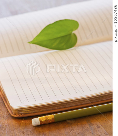 Close up of leaf lying on open notebook, studio shot 10567436