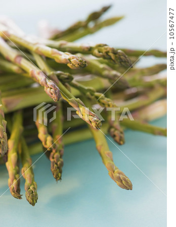 Asparagus, studio shot 10567477