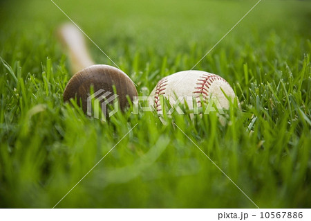 Bat and baseball laying on grass 10567886