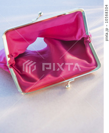 Studio shot of empty pink purse 10568304