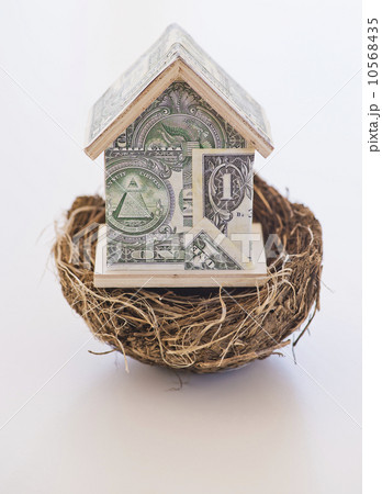 Close up of straw bird's nest and model house, studio shot 10568435