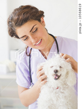 Female veterinarian with dog 10568619