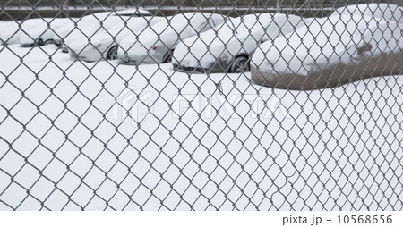 Parking lot behind chain link fence 10568656