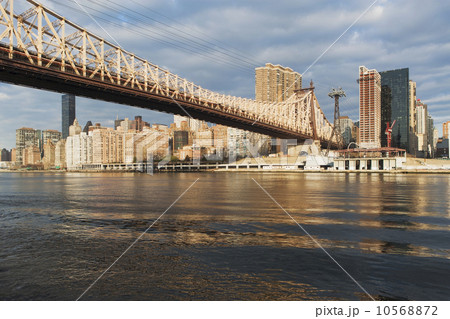 View of Manhattan View of Manhattan 10568872