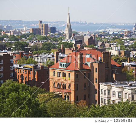 View of Brooklyn, New York 10569383