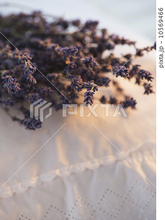 Close up of lavender bundle lying on embroidered pillow 10569466