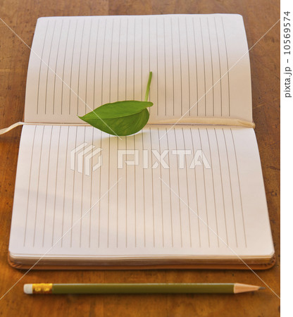 Close up of leaf lying on open notebook, studio shot 10569574