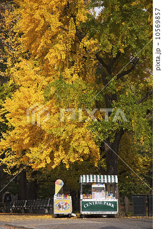 Hot dog vendor 10569857