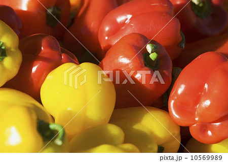 USA, Massachusetts, Boston, bell peppers 10569989